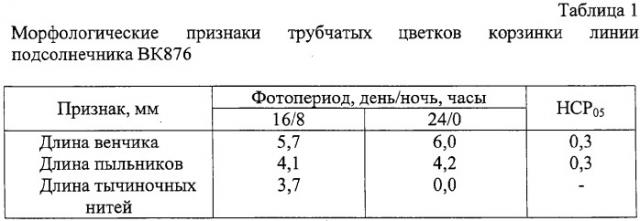 Способ получения гибрида растения подсолнечника (патент 2302105)