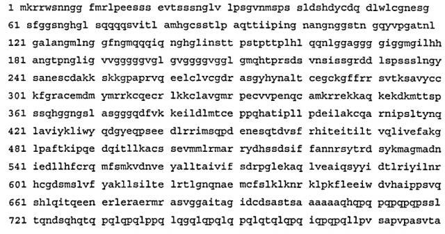 Векторы, условно экспрессирующие терапевтические белки, клетки-хозяева, содержащие указанные векторы, и их применение (патент 2612788)