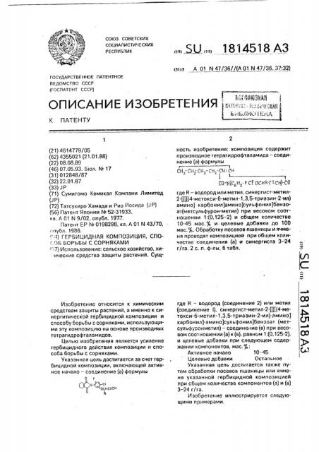 Гербицидная композиция, способ борьбы с сорняками (патент 1814518)