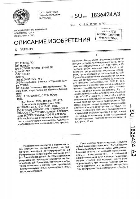 Способ получения промотора для конструирования вектора и способ конструирования вектора для экспрессии белков в клетках (патент 1836424)