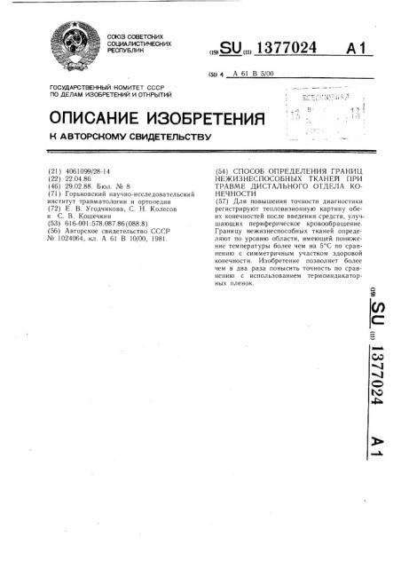 Способ определения границ нежизнеспособных тканей при травме дистального отдела конечности (патент 1377024)