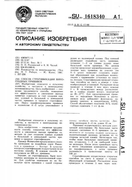 Способ стратификации виноградных прививок (патент 1618340)