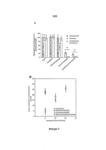 Мутантные полипептиды суаа и производные полипептидов, подходящие для доставки иммуногенных молекул в клетку (патент 2585216)