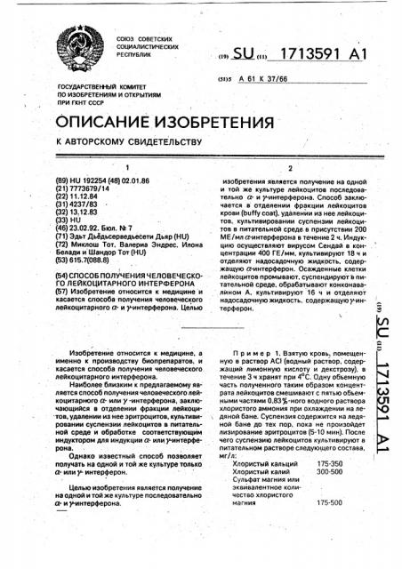 Способ получения человеческого лейкоцитарного интерферона (патент 1713591)