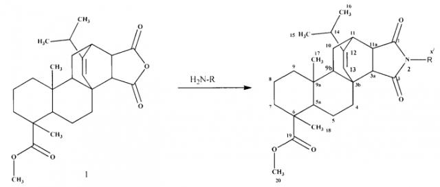 Способ получения имидов метилового эфира малеопимаровой кислоты (патент 2591193)