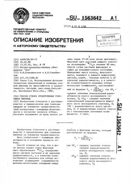 Способ отбора продуктивных генотипов пшеницы (патент 1563642)