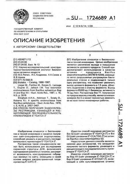 Способ получения эндонуклеазы рестрикции, узнающей и расщепляющей последовательность нуклеотидов 5 @ - tgatca-3 @ (патент 1724689)