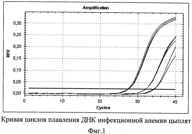 Синтетические олигонуклеотидные праймеры и способ выявления днк вируса инфекционной анемии цыплят с помощью синтетических олигонуклеотидных праймеров в полимеразной цепной реакции в режиме реального времени (патент 2481403)