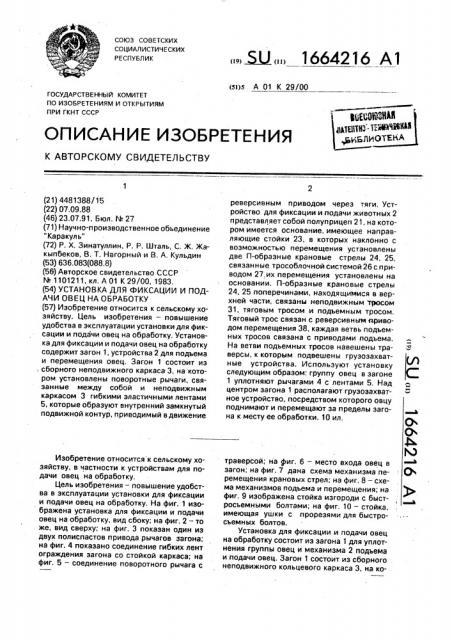 Установка для фиксации и подачи овец на обработку (патент 1664216)