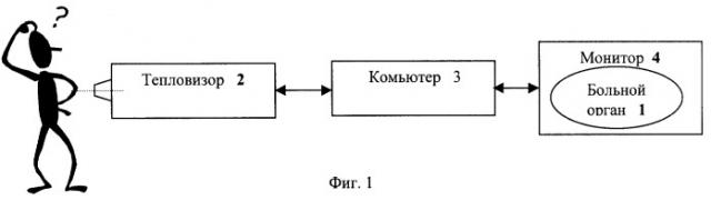 Способ исследования внутренних органов и тканей человека (патент 2256397)