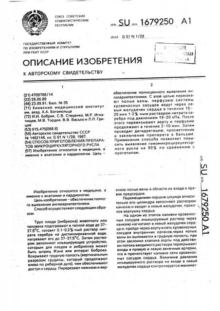 Способ приготовления препаратов микроциркуляторного русла (патент 1679250)