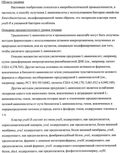 Способ получения l-треонина с использованием бактерии, принадлежащей к роду escherichia, в которой инактивирован кластер генов yrah-r (патент 2337962)