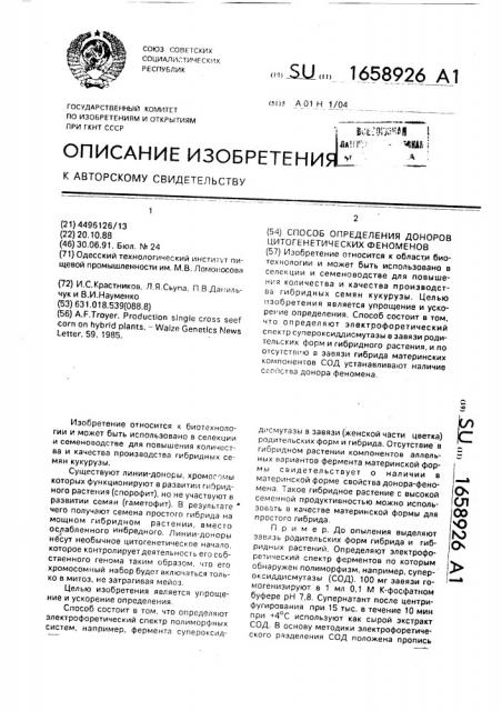 Способ определения доноров цитогенетических феноменов (патент 1658926)