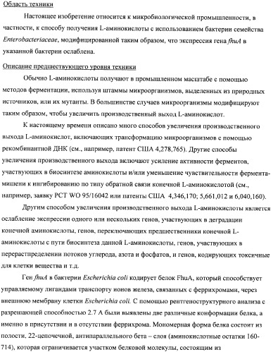 Способ получения l-треонина с использованием бактерии, принадлежащей к роду escherichia, в которой инактивирован ген fhua (патент 2333955)