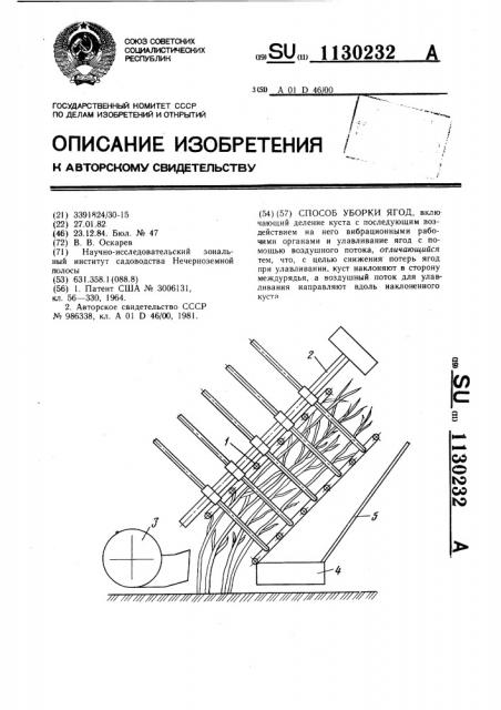 Способ уборки ягод (патент 1130232)