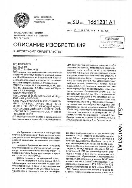 Штамм гибридных культивируемых клеток животных mus мusсulus l., продуцирующий моноклональные антитела к поверхностному белку коронавируса крупного рогатого скота (патент 1661231)