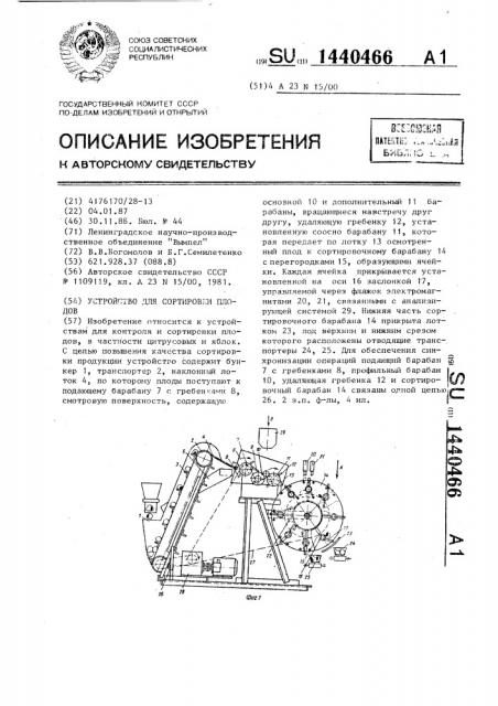 Устройство для сортировки плодов (патент 1440466)