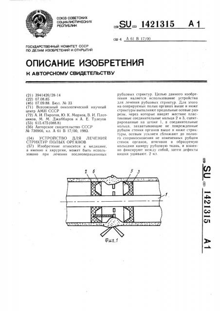 Устройство для лечения стриктур полых органов (патент 1421315)