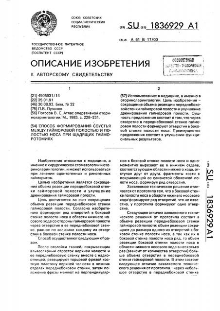 Способ формирования соустья между гайморовой полостью и полостью носа при щадящих гайморотомиях (патент 1836929)