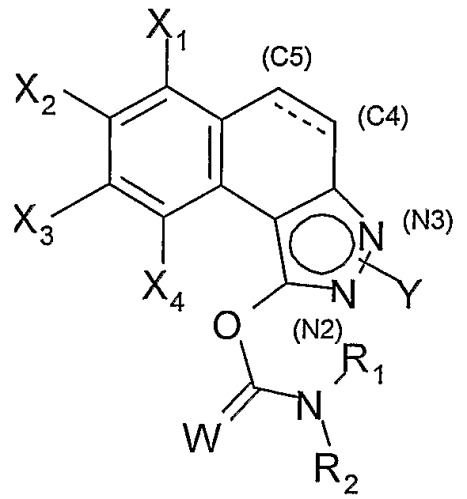 Производные 2н- или 3н-бензо[е]индазол-1-ил-карбамата, их получение и их применение в терапии (патент 2379293)