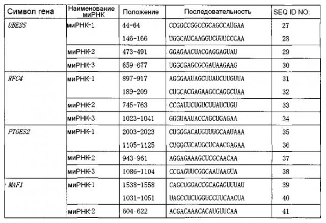 Ген, вовлеченный в иммортализацию раковой клетки человека, и его применение (патент 2449016)