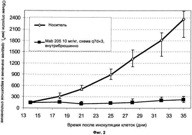 Антитела к her3 и их применения (патент 2560583)