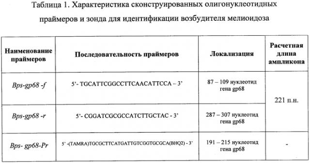 Набор олигонуклеотидных праймеров и флуоресцентно-меченого зонда для идентификации burkholderia pseudomallei (патент 2556810)