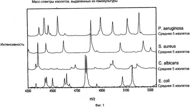 Способы разделения, характеристики и(или) идентификации микроорганизмов с помощью масс-спектрометрии (патент 2519650)