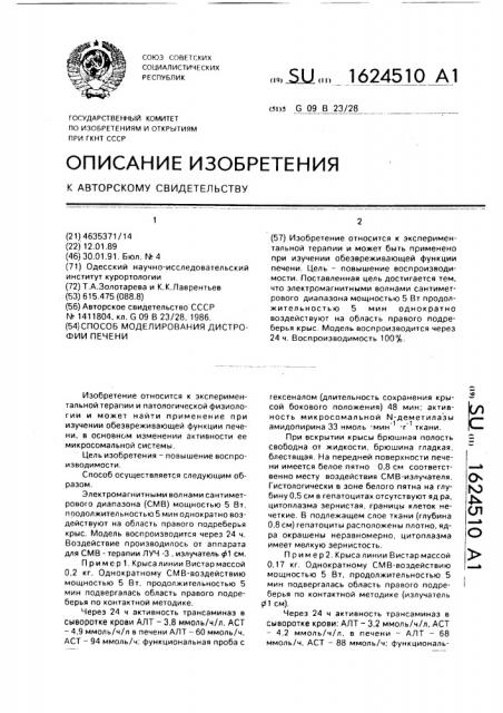 Способ моделирования дистрофии печени (патент 1624510)