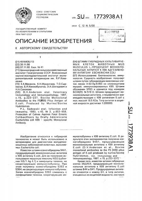 Штамм гибридных культивируемых клеток животных mus мusсulus l.-продуцент моноклональных антител к к99 адгезивному антигену еsснеriснiа coli (патент 1773938)