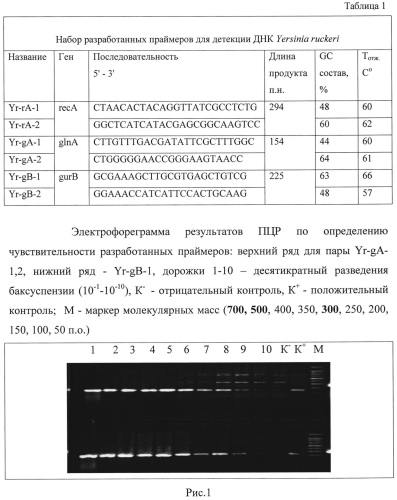 Способ диагностики йерсиниоза лососевых рыб, вызываемого yersinia ruckeri, методом полимеразной цепной реакции и диагностический набор для осуществления способа (патент 2560570)