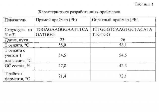 Пара синтетических олигонуклеотидных праймеров для выявления вируса иммунодефицита кошек и способ диагностики вирусного иммунодефицита кошек (патент 2553534)