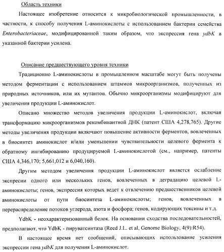 Способ получения l-аминокислоты с использованием бактерии, принадлежащей к роду escherichia (патент 2395579)