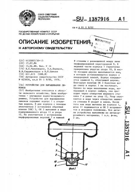 Устройство для выращивания лимонов (патент 1387916)