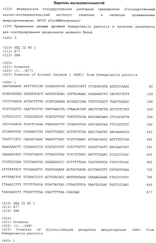 Применение штамма дрожжей komagataella pastoris в качестве реципиента для конструирования продуцентов целевого белка (патент 2522479)