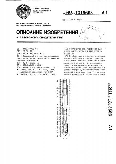 Устройство для установки разделительного моста из твердеющего материала (патент 1315603)