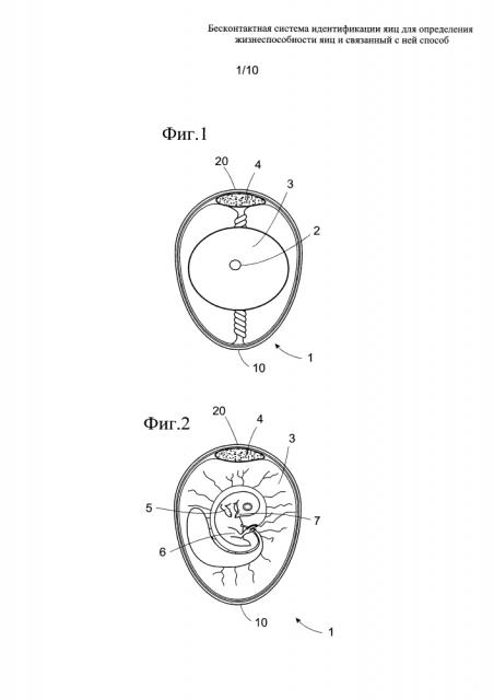 Бесконтактная система идентификации яиц для определения жизнеспособности яиц и связанный с ней способ (патент 2647969)
