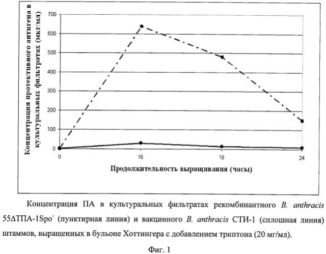 Способ получения протективного антигена и белка s-слоя ea1 из аспорогенного рекомбинантного штамма b. anthracis 55 тпа-1spo- (патент 2492241)