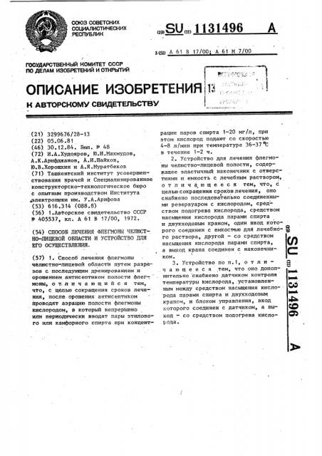 Способ лечения флегмоны челюстно-лицевой области и устройство для его осуществления (патент 1131496)