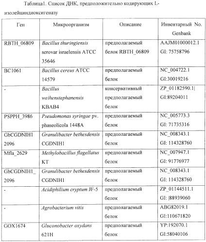 Способ продукции (2s,3r,4s)-4-гидрокси-l-изолейцина с использованием бактерии, в которой разрушена активность 4-гидрокси-l-изолейциндегидрогеназы (патент 2395578)