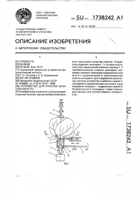 Устройство для очистки кочанов капусты (патент 1738242)