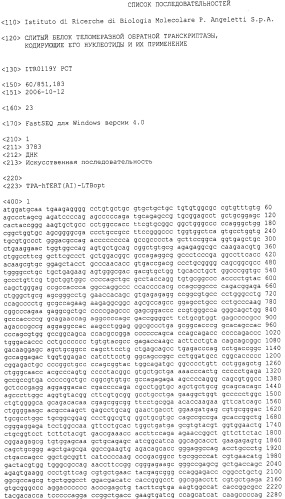 Слитый белок теломеразной обратной транскриптазы, кодирующие его нуклеотиды и их применение (патент 2473691)