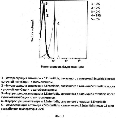 Способ определения чувствительности микроорганизмов рода salmonella к антибактериальным препаратам (патент 2518372)