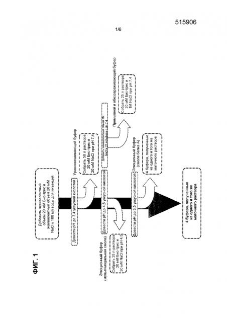 Очистка белка с использованием бис-трис буфера (патент 2603347)