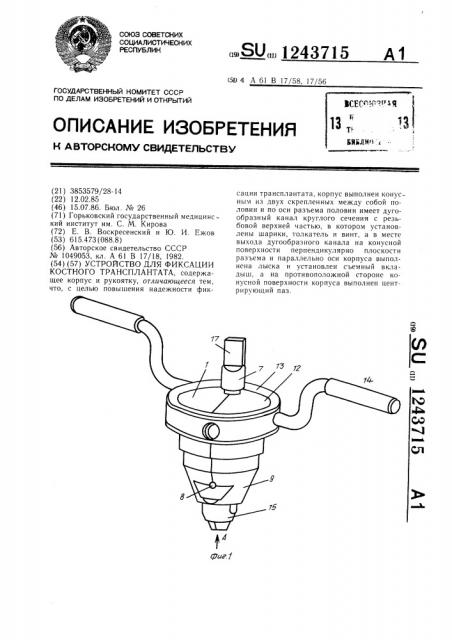 Устройство для фиксации костного трансплантата (патент 1243715)