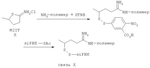 Поликонъюгаты для введения in vivo полинуклеотидов (патент 2430740)