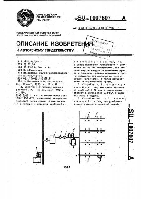 Способ выращивания зерновых культур (патент 1007607)