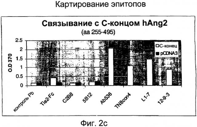 Ангиопоэтин-2-специфические связывающие агенты (патент 2404992)