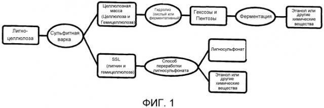 Способ получения моносахаридов или этанола вместе с сульфинированным лигнином из лигноцеллюлозной биомассы (патент 2525163)