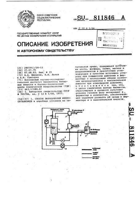 Способ выращивания микроорганизмов (патент 811846)